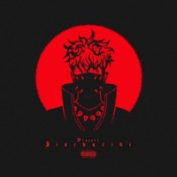 Project Jinchuriki - BVDLVD