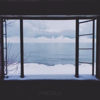 Precious - Single - Nomyn & Veela