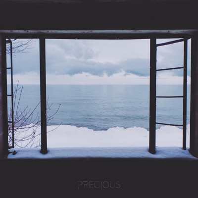 Precious - Single