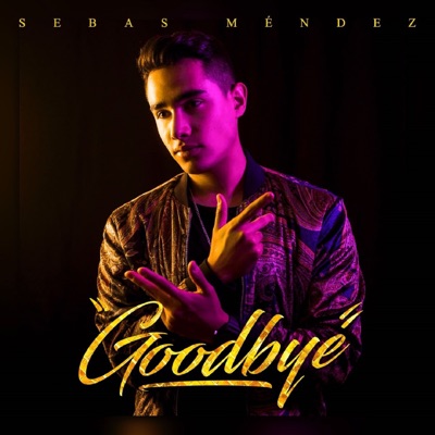 Goodbye - Single