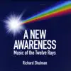 Richard Shulman - The Bridge to the New Awareness