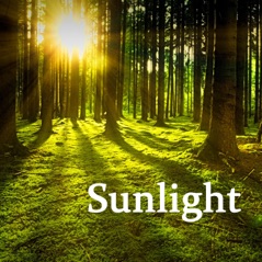 Sunlight - Single