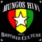 Ing - Mungo's Hi Fi & Brother Culture lyrics