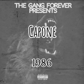 I Need a Lawyer Capone & Kali-Rich