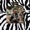 Freddie Gibbs - Robes (feat. Domo Genesis, Earl Sweatshirt)