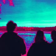 Everything - glwzbll