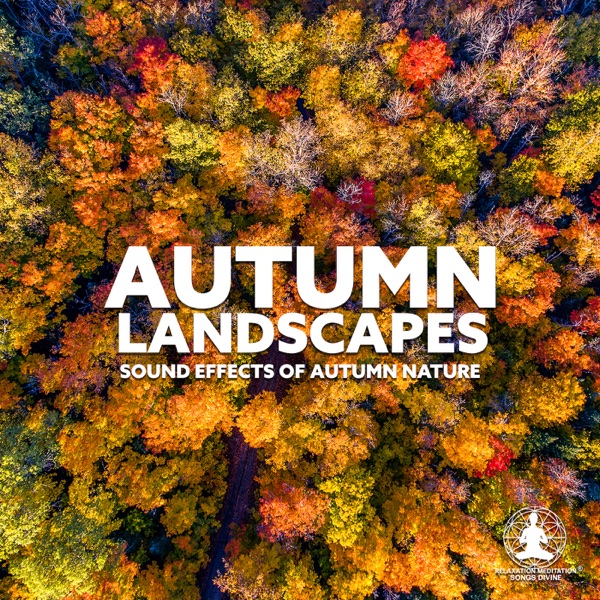 Autumn Landscapes: Sound Effects of Autumn Nature, Fall Nature ASMR, Relaxation and Deep Sleep