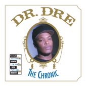 Dr. Dre feat. Snoop Dogg - Dre Day (And Everybody's Celebratin') (Radio Version)