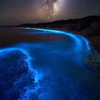 Late Night - Single - TkStoney