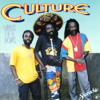 Wings of a Dove - Culture