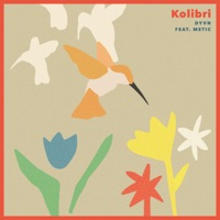 Kolibri - Single - DYVN, Metic & Kindbrew