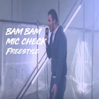 Mic Check Freestyle (feat. Bam Bam) - Single - 800 Hertz