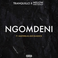 Ngomdeni (feat. Mellow, Sleazy & MasterBlaQ and Blaqnick) - Single - Tranquillo