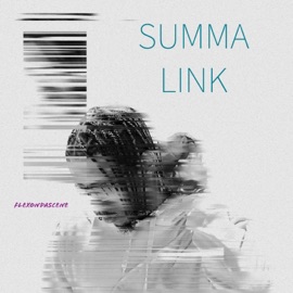 SUMMA LINK Flexondascene
