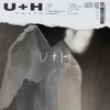 Local H No Local U+H