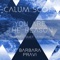 You Are the Reason - Calum Scott & Barbara Pravi lyrics