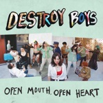 Destroy Boys - Muzzle