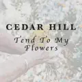 Tend To My Flowers