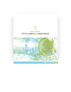 Dengarkan Circles and Spirals, tonton video musik, baca bio, lihat tanggal tur & lainnya!