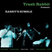 Floor Drops Out by Trash Rabbit