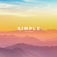Simple - Single - Disktrack