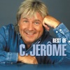 Jérôme Regard La fille au regard vert 
