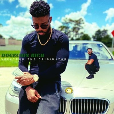 Dogecoin Rich - Single