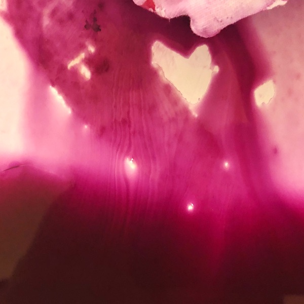 Pariah's Tears