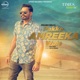 PAKKE AMREEKA WALE cover art