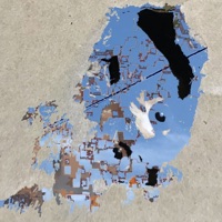 Lag - Single - Fetus