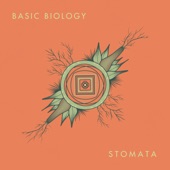 Basic Biology - Majestic