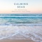 Ocean Waves for Sleep - Natural Sounds Selections, Zen Sounds & Nature Sound Collection lyrics