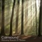 Crackling Log Fire - Calmsound lyrics