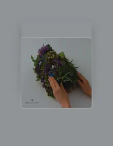 Re:connect을(를) 듣고, 뮤직 비디오를 보고, 약력을 읽고, 투어 일정 등을 확인하세요!