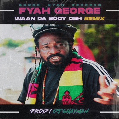 Waan Da Body Deh (feat. Fyah George) [Remix] [Remix] - Single