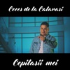 Copilasii Mei - Single