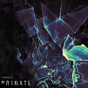 Tortuous - EP