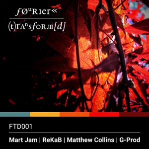 Fourier Transform(d) One - EP