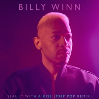 Seal It with a Kiss (Trip Pop Remix) - Single - Billy Winn