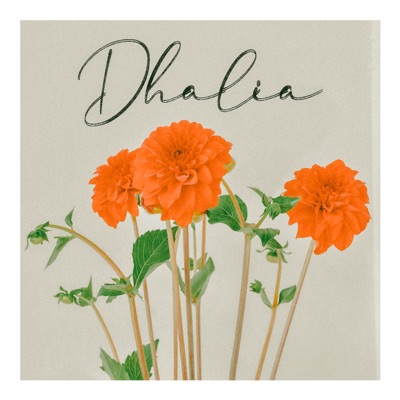 Dhalia - Single