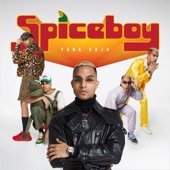 Spice Boy artwork