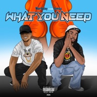 What you need (feat. Iamsu!) - Single - Wordplayhaan