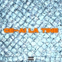 Ce-ai la tine (feat. Horace & MIRU) - Single - House Killerz