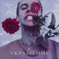 Украшение (feat. Verydiv) - Single - LilProper
