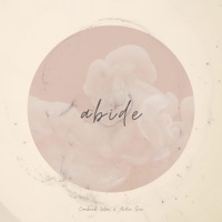 Abide (feat. Canberk Ulaş) - Single - Ardie Son