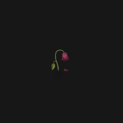 Llamadas - Single