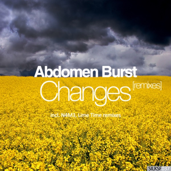 Changes (feat. Malevich & Yavanndiel) [Remixes] - Single
