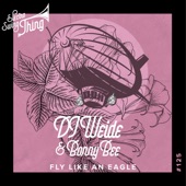 Fly Like an Eagle artwork