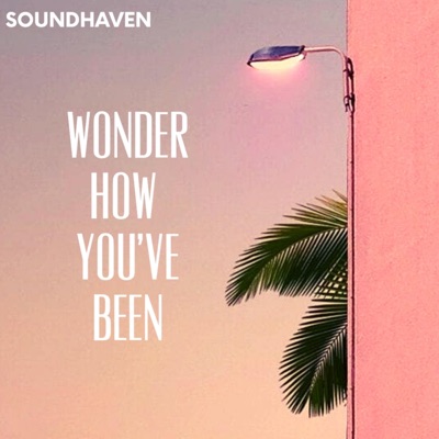 Wonder How You've Been - Single