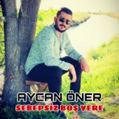 Sebepsiz Boş Yere artwork